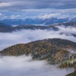 Das Original – Ein Herbstkommentar [T-234]